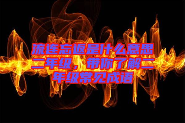 流連忘返是什么意思二年級(jí)，帶你了解二年級(jí)常見成語