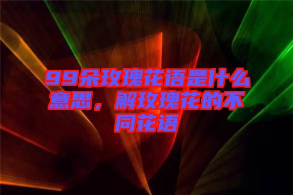 99朵玫瑰花語是什么意思，解玫瑰花的不同花語