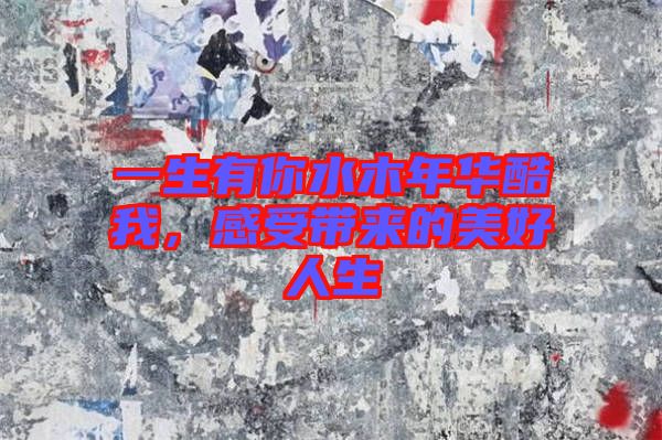 一生有你水木年華酷我，感受帶來的美好人生
