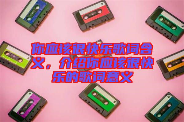 你應該很快樂歌詞含義，介紹你應該很快樂的歌詞意義