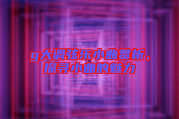 g大調(diào)弦樂小曲賞析，探尋小曲的魅力