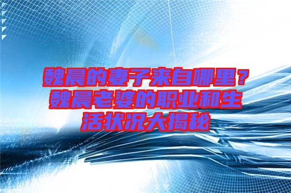 魏晨的妻子來自哪里？魏晨老婆的職業(yè)和生活狀況大揭秘