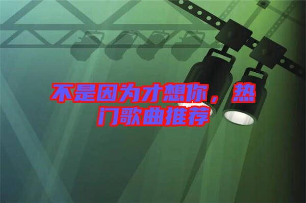 不是因為才想你，熱門歌曲推薦