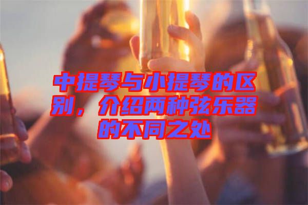 中提琴與小提琴的區(qū)別，介紹兩種弦樂(lè)器的不同之處
