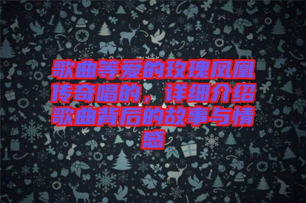 歌曲等愛的玫瑰鳳凰傳奇唱的，詳細介紹歌曲背后的故事與情感