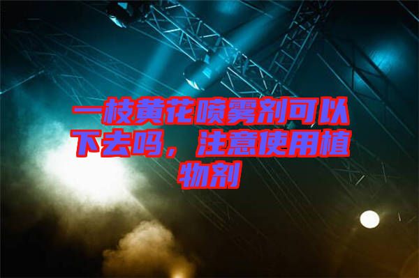 一枝黃花噴霧劑可以下去嗎，注意使用植物劑