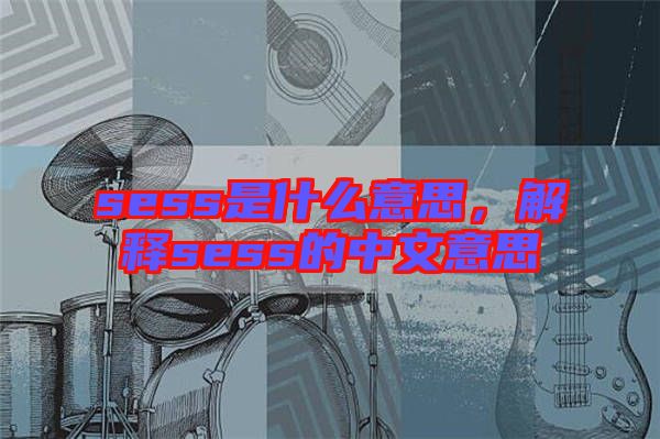 sess是什么意思，解釋sess的中文意思