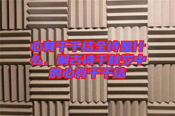心有千千結(jié)全詩是什么，解古詩千秋歲中的心有千千結(jié)