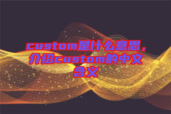 custom是什么意思，介紹custom的中文含義