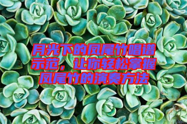 月光下的鳳尾竹唱譜示范，讓你輕松掌握鳳尾竹的演奏方法