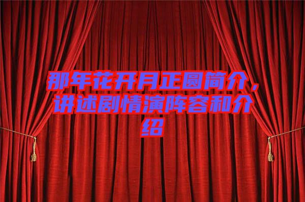 那年花開月正圓簡介，講述劇情演陣容和介紹
