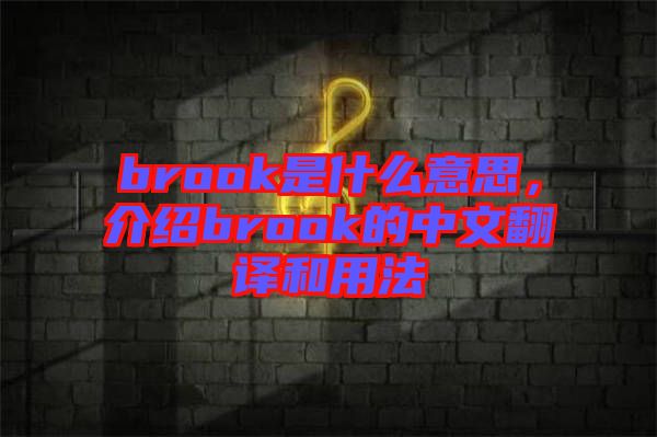 brook是什么意思，介紹brook的中文翻譯和用法