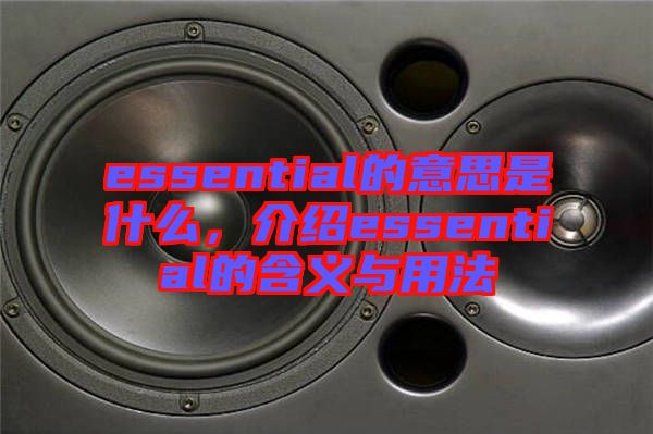 essential的意思是什么，介紹essential的含義與用法