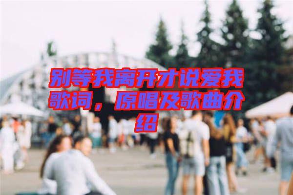 別等我離開才說愛我歌詞，原唱及歌曲介紹