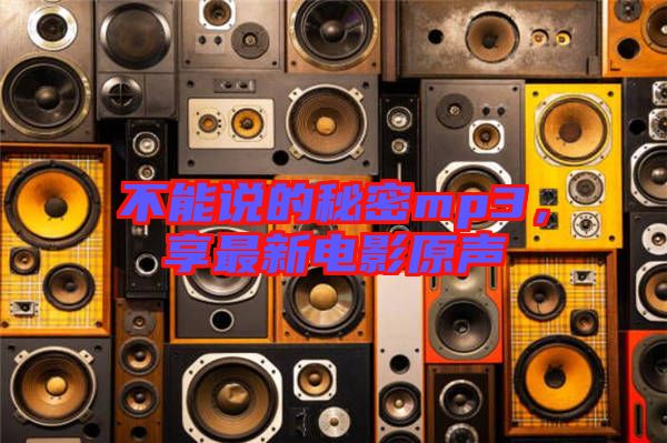不能說的秘密mp3，享最新電影原聲