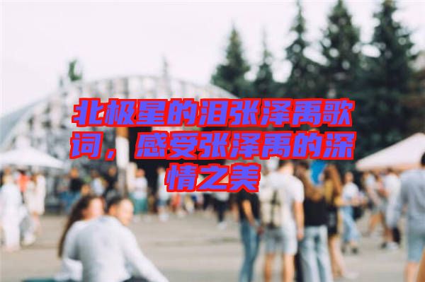 北極星的淚張澤禹歌詞，感受張澤禹的深情之美