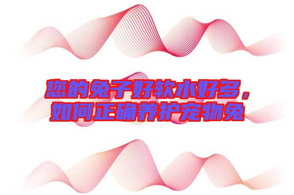 您的兔子好軟水好多，如何正確養(yǎng)護(hù)寵物兔