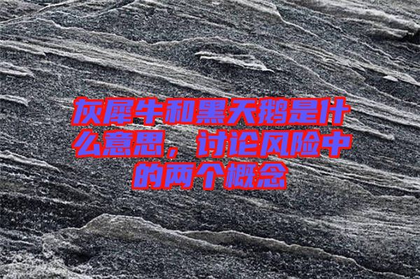 灰犀牛和黑天鵝是什么意思，討論風(fēng)險(xiǎn)中的兩個(gè)概念