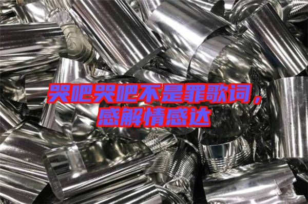 哭吧哭吧不是罪歌詞，感解情感達(dá)