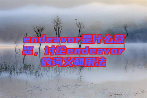 endeavor是什么意思，討論endeavor的詞義和用法