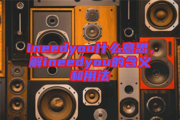 ineedyou什么意思，解ineedyou的含義和用法