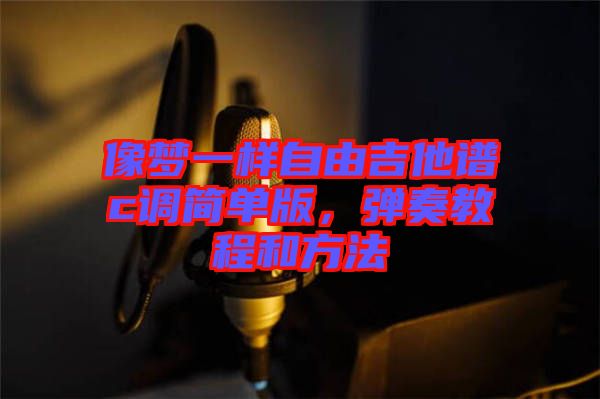 像夢一樣自由吉他譜c調簡單版，彈奏教程和方法