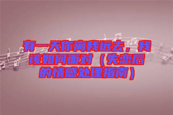 有一天你離我遠(yuǎn)去，我該如何面對(duì)（失戀后的情感處理指南）