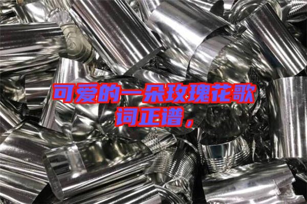 可愛(ài)的一朵玫瑰花歌詞正譜，