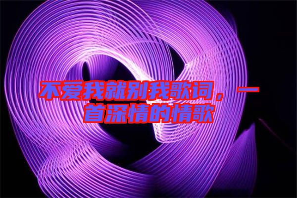 不愛我就別我歌詞，一首深情的情歌