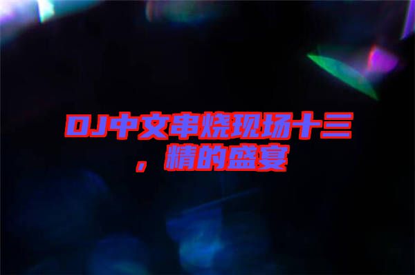 DJ中文串燒現(xiàn)場(chǎng)十三，精的盛宴