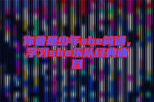 你曾是少年she簡譜，學習she樂隊經典曲目