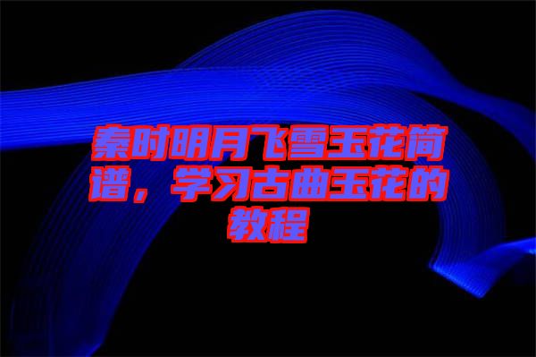 秦時(shí)明月飛雪玉花簡譜，學(xué)習(xí)古曲玉花的教程