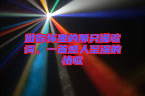 做你懷里的那只貓歌詞，一首感人至深的情歌
