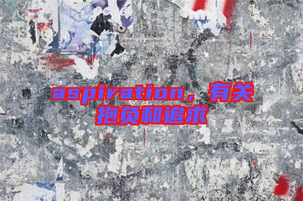 aspiration，有關(guān)抱負(fù)和追求