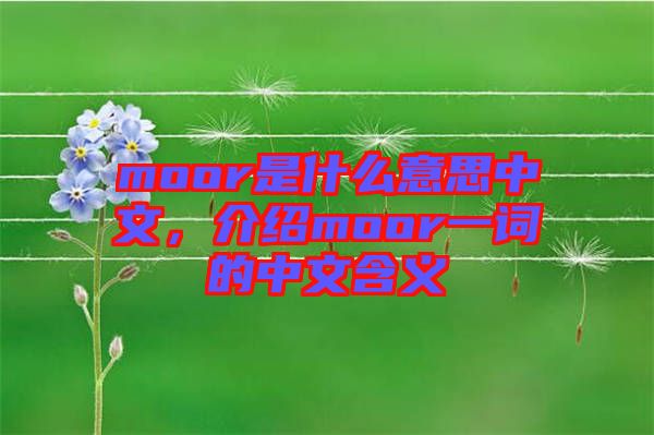 moor是什么意思中文，介紹moor一詞的中文含義