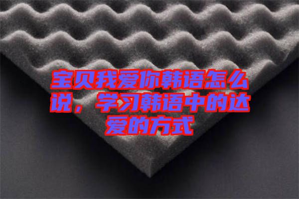 寶貝我愛你韓語怎么說，學習韓語中的達愛的方式