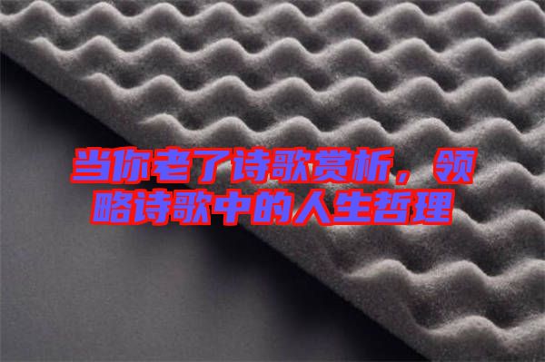 當(dāng)你老了詩(shī)歌賞析，領(lǐng)略詩(shī)歌中的人生哲理