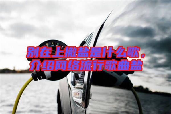 別在上撒鹽是什么歌，介紹網(wǎng)絡(luò)流行歌曲鹽