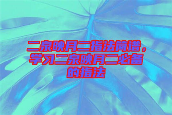 二泉映月二指法簡(jiǎn)譜，學(xué)習(xí)二泉映月二必備的指法