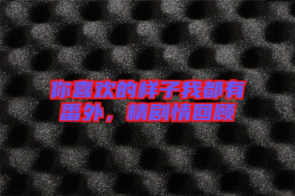 你喜歡的樣子我都有番外，精劇情回顧