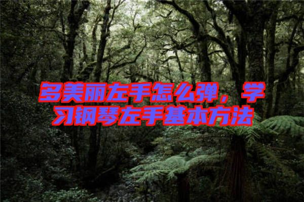 多美麗左手怎么彈，學(xué)習(xí)鋼琴左手基本方法