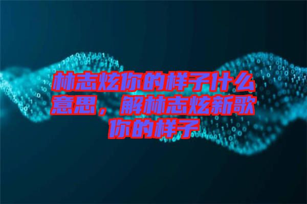 林志炫你的樣子什么意思，解林志炫新歌你的樣子