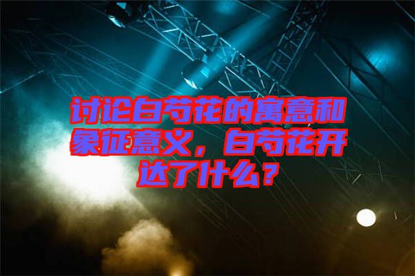 討論白芍花的寓意和象征意義，白芍花開達(dá)了什么？