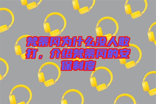 梵蒂岡為什么沒人敢打，介紹梵蒂岡的安保制度