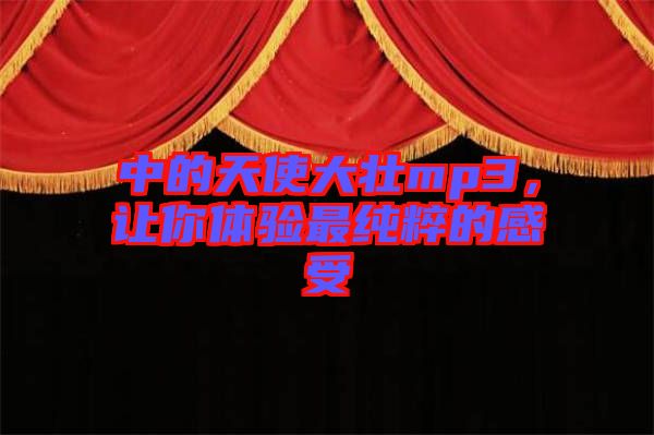 中的天使大壯mp3，讓你體驗(yàn)最純粹的感受