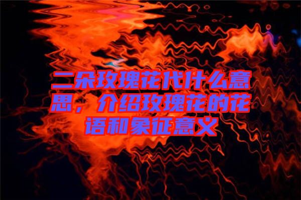 二朵玫瑰花代什么意思，介紹玫瑰花的花語和象征意義