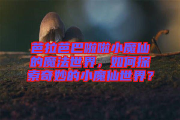 芭拉芭巴啦啦小魔仙的魔法世界，如何探索奇妙的小魔仙世界？