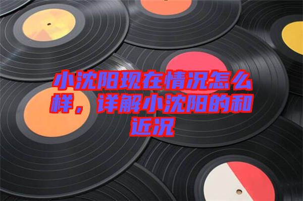 小沈陽現(xiàn)在情況怎么樣，詳解小沈陽的和近況