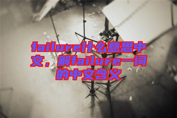 failure什么意思中文，解failure一詞的中文含義