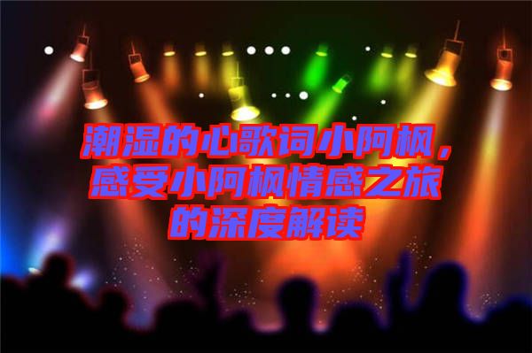 潮濕的心歌詞小阿楓，感受小阿楓情感之旅的深度解讀